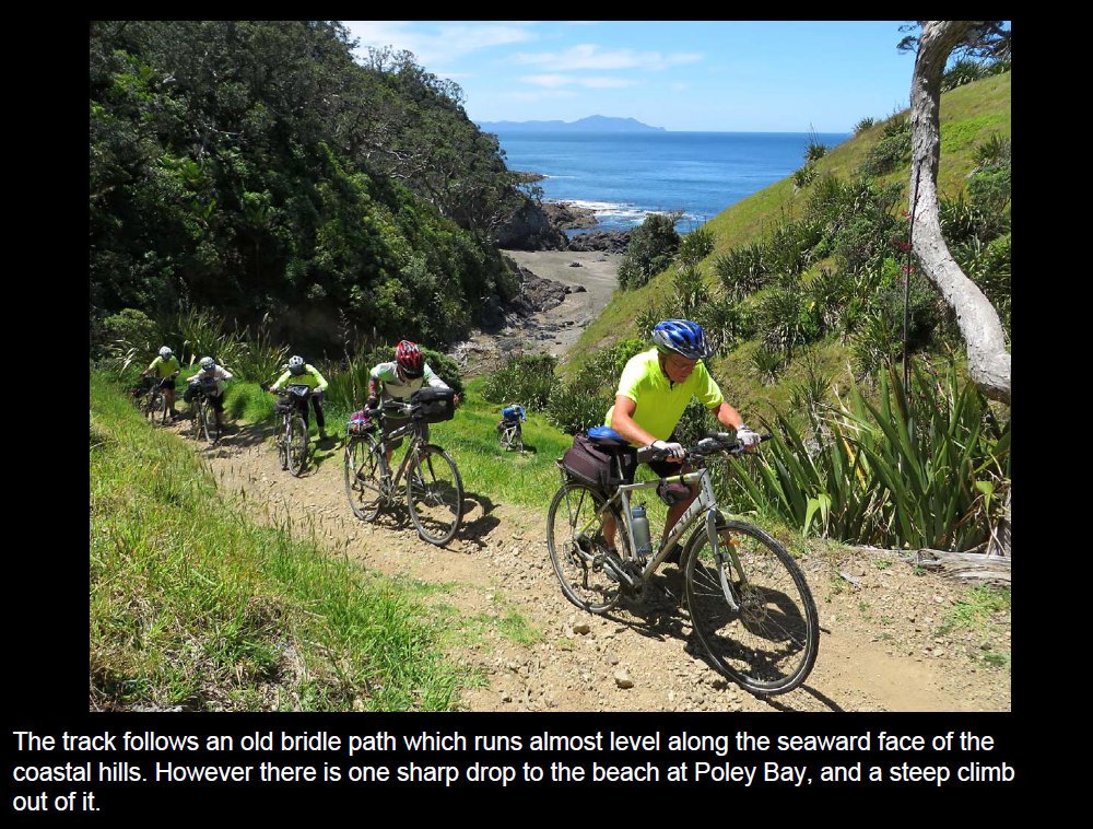 coro201519.jpg (308989 bytes)